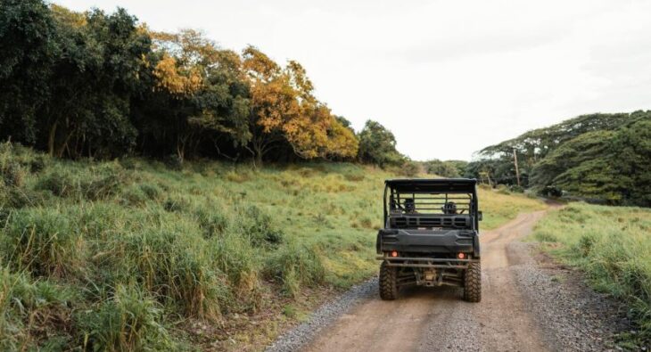 Off-road vs wojsko: Przełamuj bariery terenowe ze snorkel! Odkryj różnice i tajniki działania