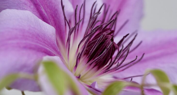 Rekuperacja – Cudowne rozwiązanie dla Twojego domu? Odkryj sekrety tej technologii!