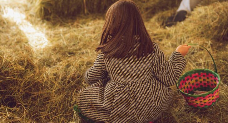 Wie Ihre Kühlzelle länger hält: Geheime Tipps zur Wartung und Pflege!